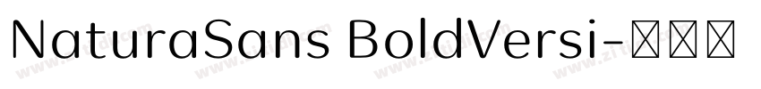 NaturaSans BoldVersi字体转换